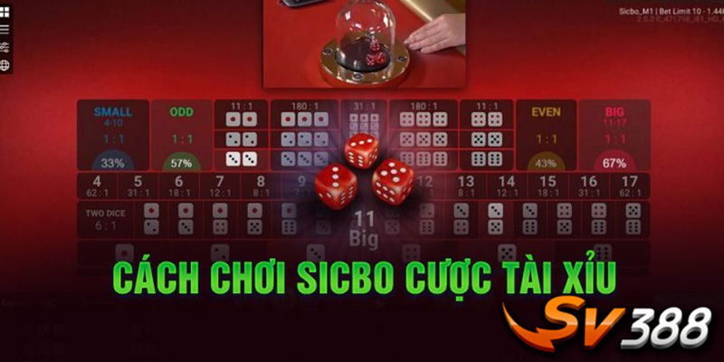 Trò Chơi SV388 - Đỉnh Cao Giải Trí Cùng Những Cơ Hội Kiếm Tiền Hấp Dẫn